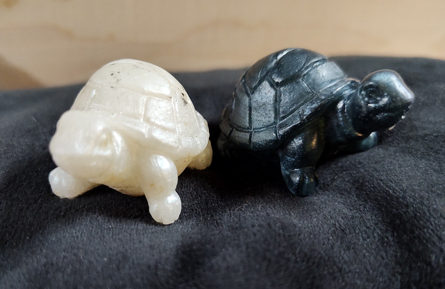Little epoxy tortoise