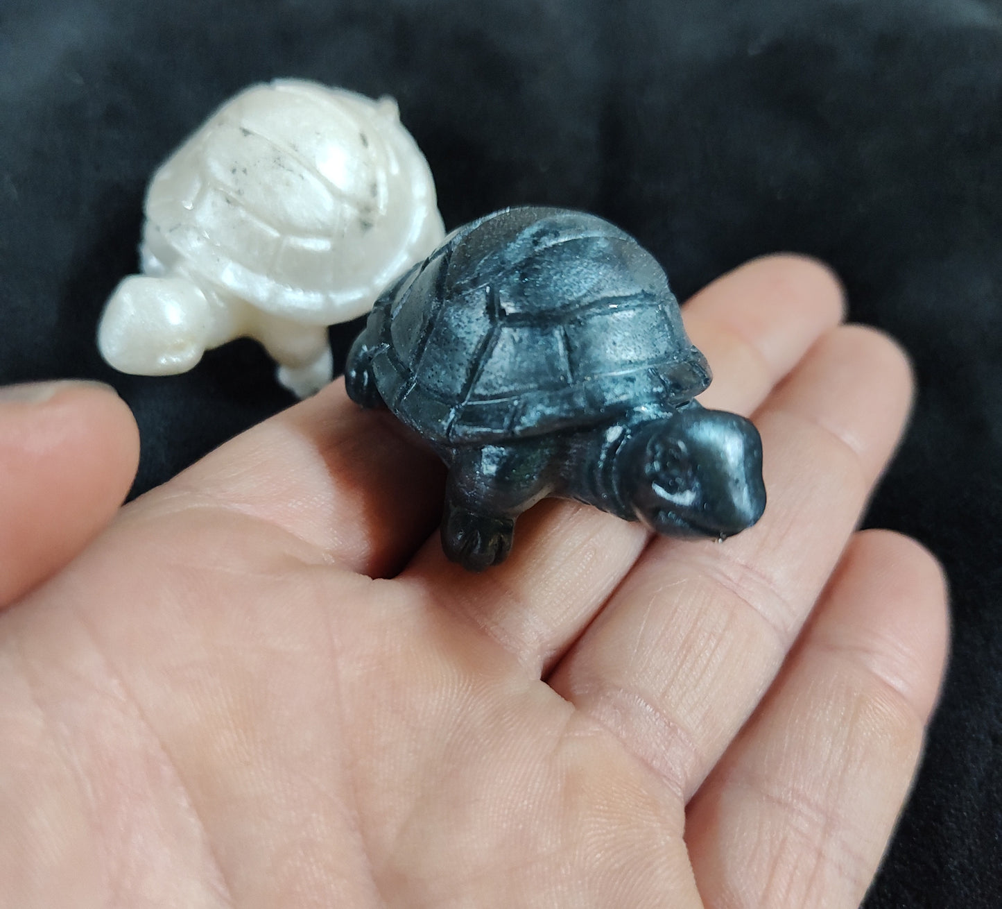 Little epoxy tortoise